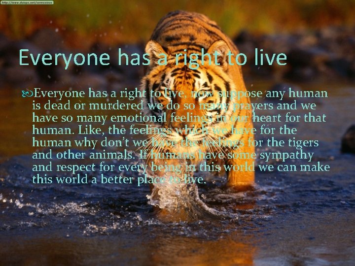 Everyone has a right to live, now suppose any human is dead or murdered