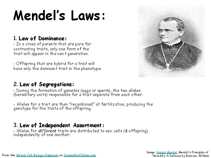 Mendel’s Laws: 1. Law of Dominance: - In a cross of parents that are