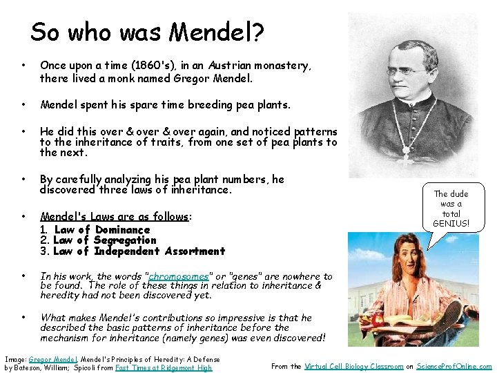 So who was Mendel? • Once upon a time (1860's), in an Austrian monastery,