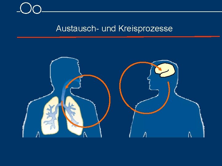 Austausch und Kreisprozesse 