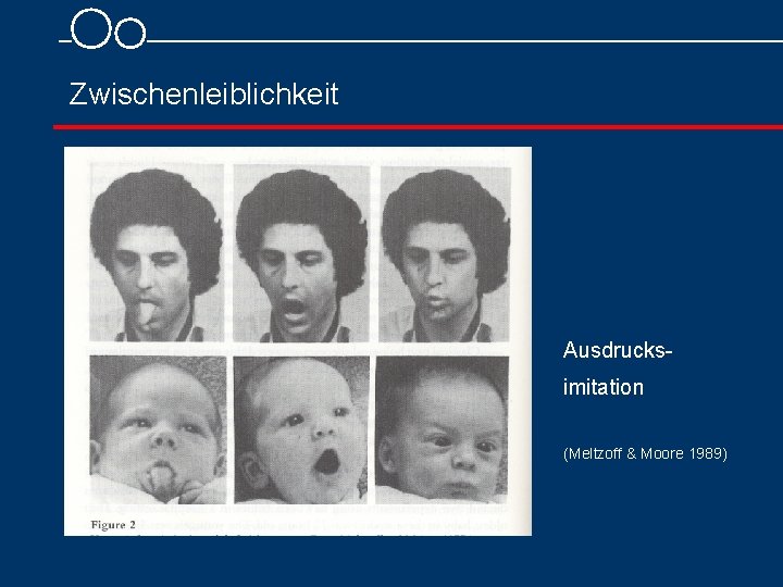 Zwischenleiblichkeit Ausdrucks imitation (Meltzoff & Moore 1989) 