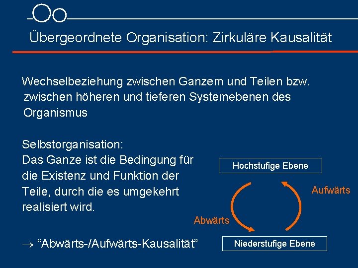 Übergeordnete Organisation: Zirkuläre Kausalität Wechselbeziehung zwischen Ganzem und Teilen bzw. zwischen höheren und tieferen