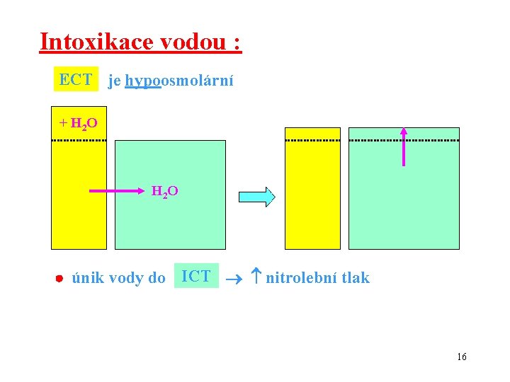 Intoxikace vodou : ECT je hypoosmolární + H 2 O H 2 O únik