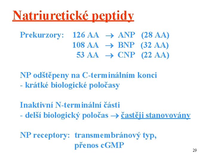 Natriuretické peptidy Prekurzory: 126 AA ANP (28 AA) 108 AA BNP (32 AA) 53