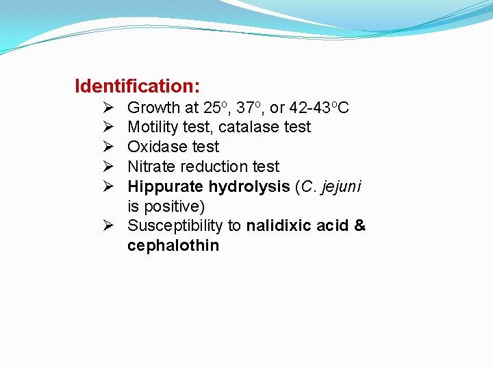 Identification: Ø Ø Ø Growth at 25 o, 37 o, or 42 -43 o.