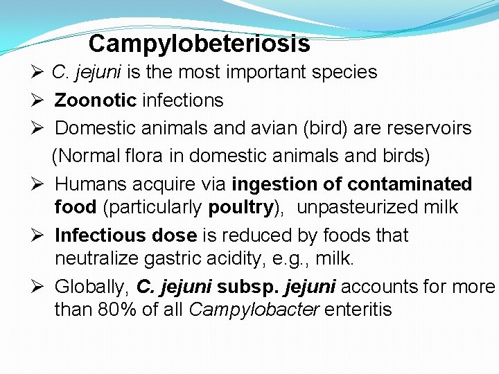 Campylobeteriosis Ø C. jejuni is the most important species Ø Zoonotic infections Ø Domestic