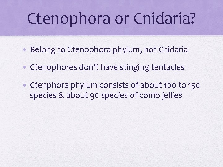 Ctenophora or Cnidaria? • Belong to Ctenophora phylum, not Cnidaria • Ctenophores don’t have