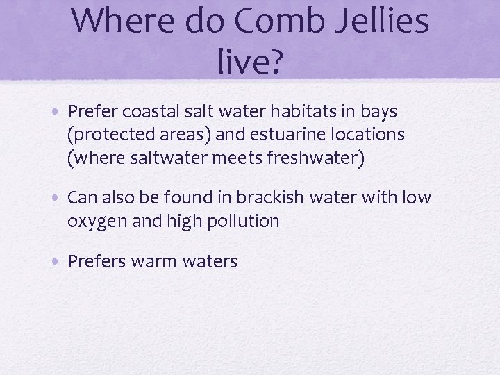 Where do Comb Jellies live? • Prefer coastal salt water habitats in bays (protected