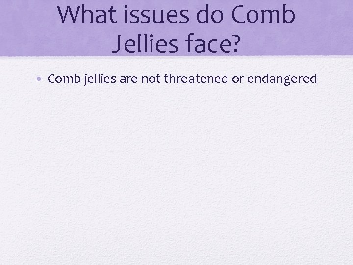 What issues do Comb Jellies face? • Comb jellies are not threatened or endangered