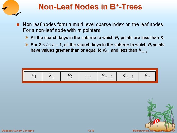 Non-Leaf Nodes in B+-Trees n Non leaf nodes form a multi-level sparse index on