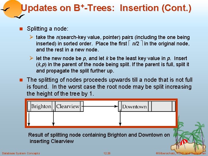 Updates on B+-Trees: Insertion (Cont. ) n Splitting a node: Ø take the n(search-key