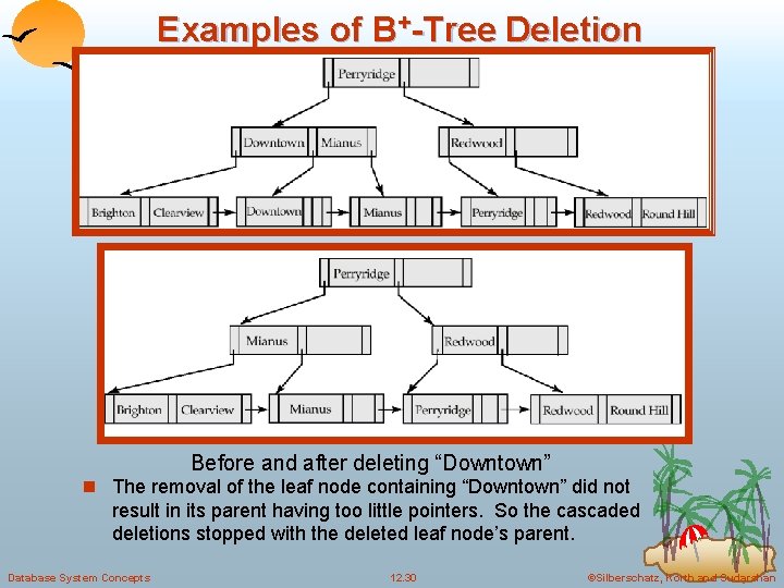 Examples of B+-Tree Deletion Before and after deleting “Downtown” n The removal of the