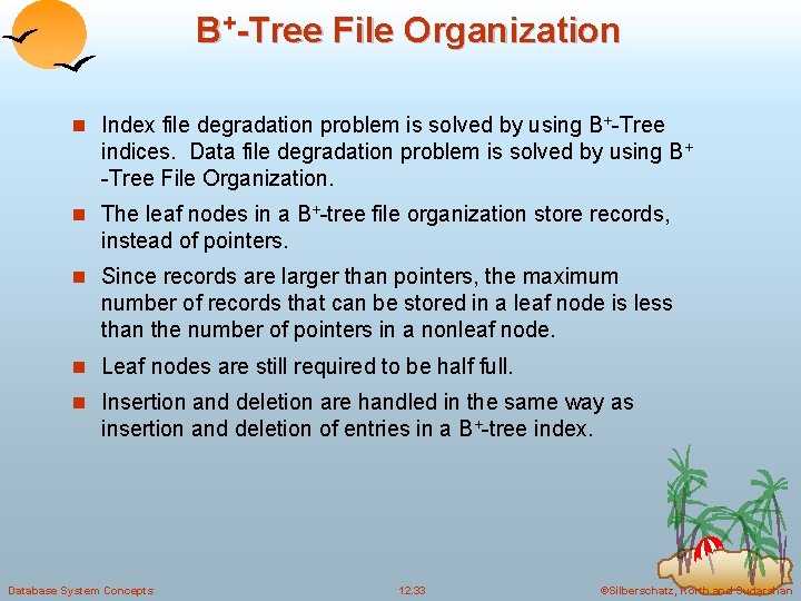 B+-Tree File Organization n Index file degradation problem is solved by using B+-Tree indices.