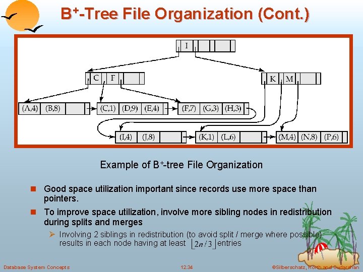 B+-Tree File Organization (Cont. ) Example of B+-tree File Organization n Good space utilization