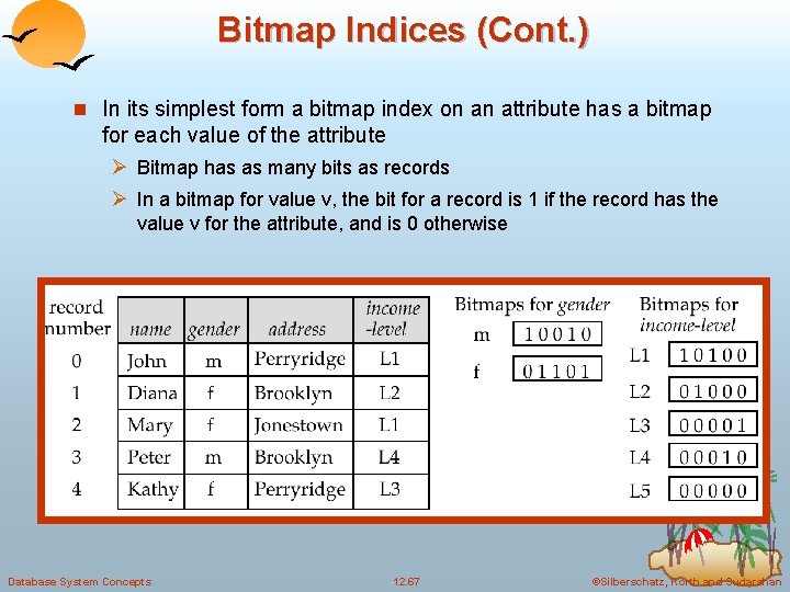 Bitmap Indices (Cont. ) n In its simplest form a bitmap index on an
