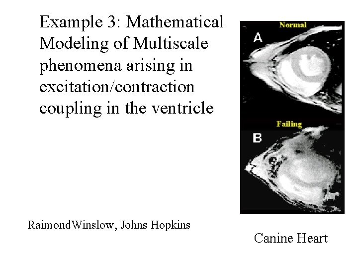 Example 3: Mathematical Modeling of Multiscale phenomena arising in excitation/contraction coupling in the ventricle