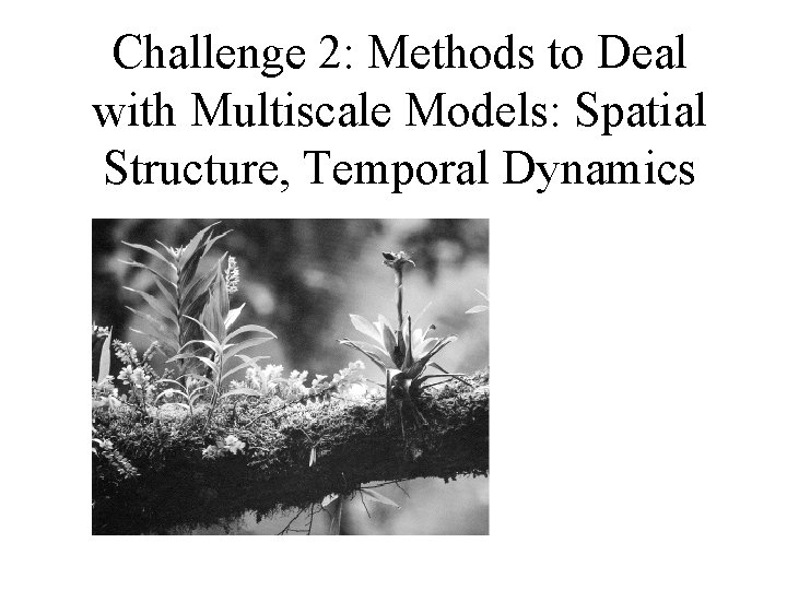 Challenge 2: Methods to Deal with Multiscale Models: Spatial Structure, Temporal Dynamics 