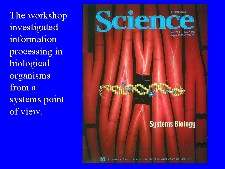 The workshop investigated information processing in biological organisms from a systems point of view.