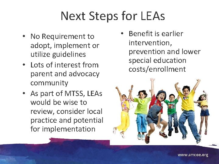 Next Steps for LEAs • No Requirement to adopt, implement or utilize guidelines •