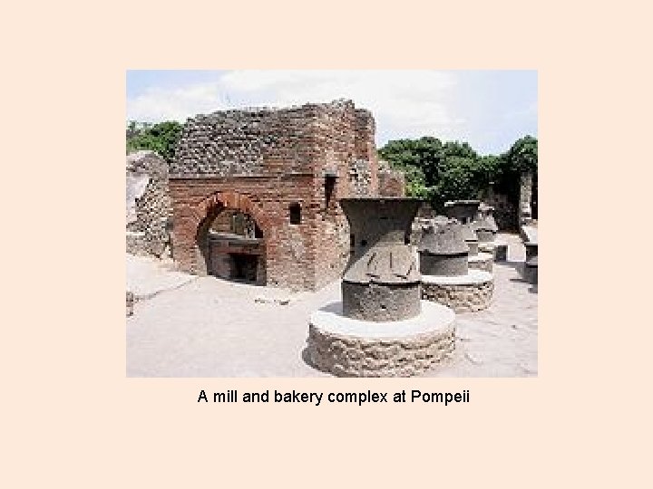  A mill and bakery complex at Pompeii 