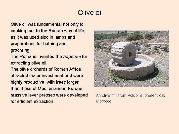 Olive oil was fundamental not only to cooking, but to the Roman way of