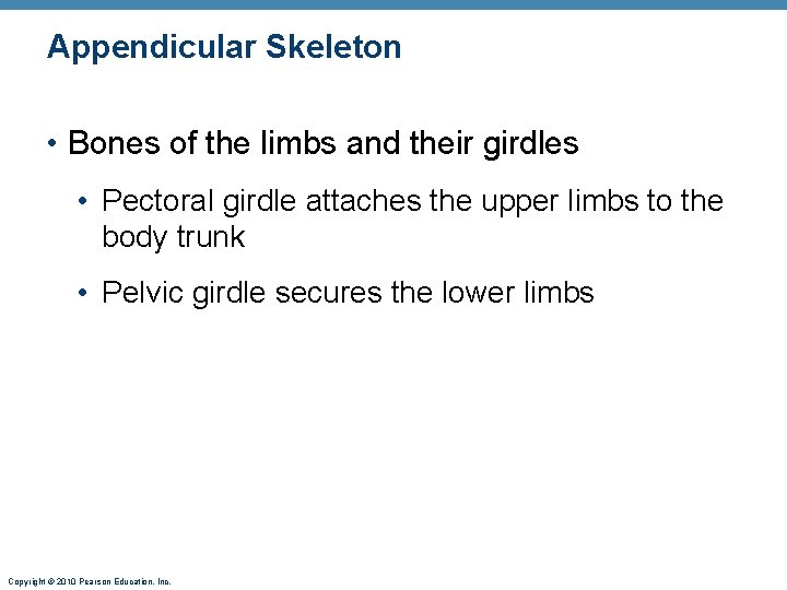 Appendicular Skeleton • Bones of the limbs and their girdles • Pectoral girdle attaches