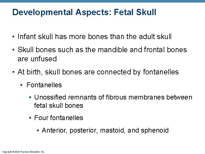 Developmental Aspects: Fetal Skull • Infant skull has more bones than the adult skull