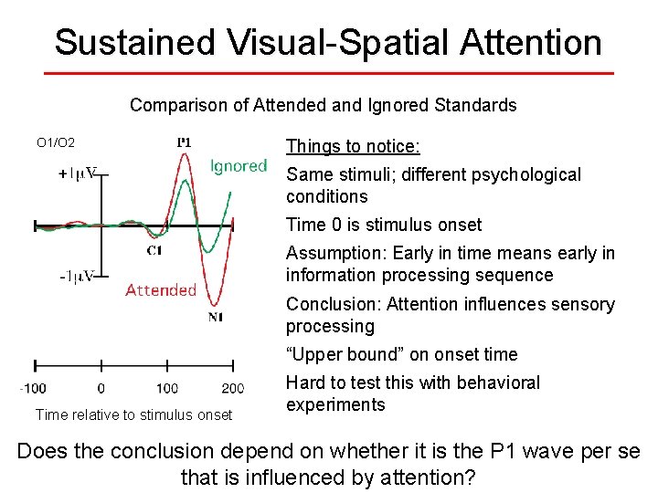 Sustained Visual-Spatial Attention Comparison of Attended and Ignored Standards O 1/O 2 Things to