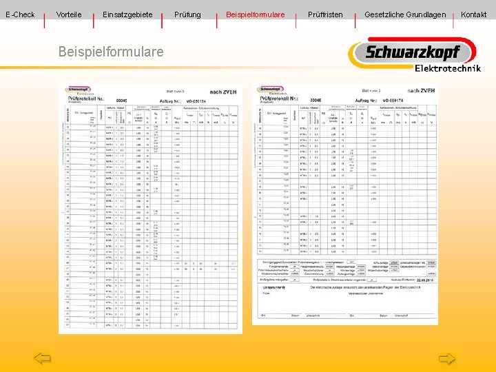 E-Check Vorteile Einsatzgebiete Beispielformulare Prüfung Beispielformulare Prüffristen Gesetzliche Grundlagen Kontakt 