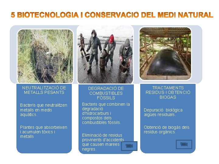 NEUTRALITZACIÓ DE METALLS PESANTS DEGRADACIÓ DE COMBUSTIBLES FÒSSILS Bacteris que neutralitzen metalls en medis