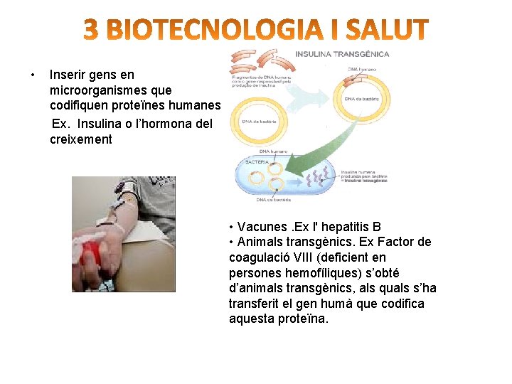  • Inserir gens en microorganismes que codifiquen proteïnes humanes Ex. Insulina o l’hormona