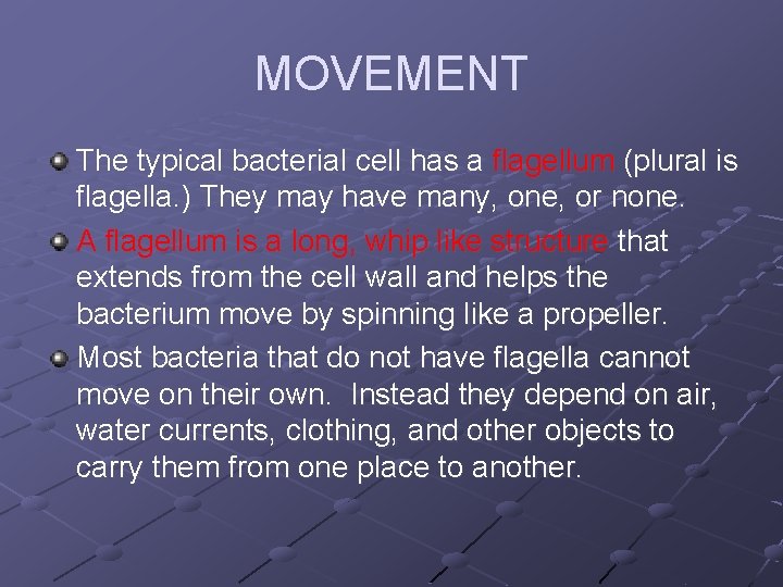 MOVEMENT The typical bacterial cell has a flagellum (plural is flagella. ) They may