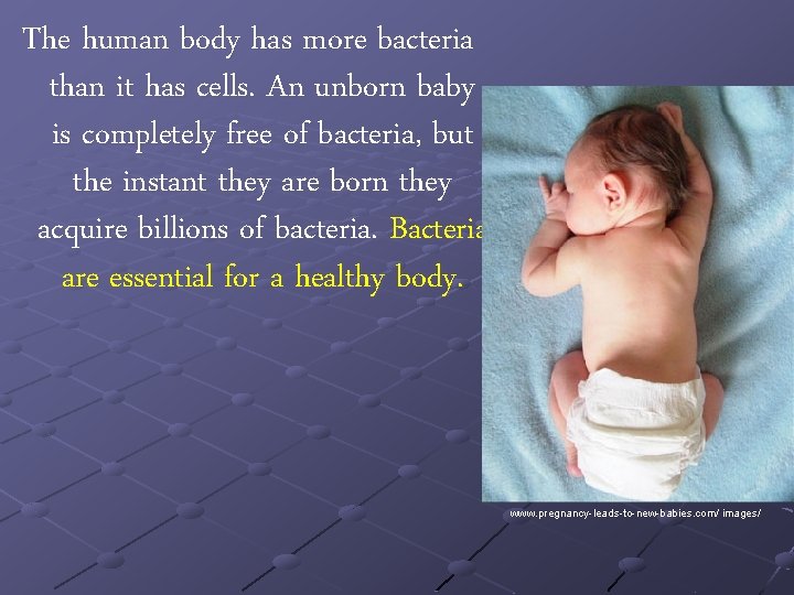 The human body has more bacteria than it has cells. An unborn baby is