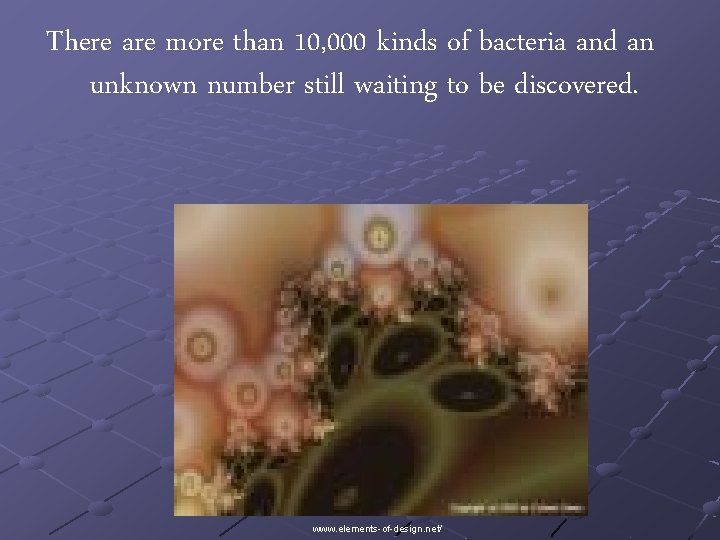 There are more than 10, 000 kinds of bacteria and an unknown number still