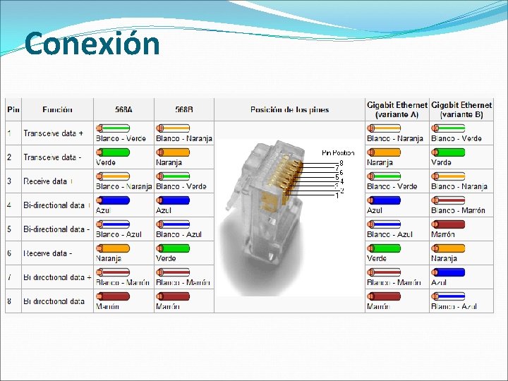 Conexión 