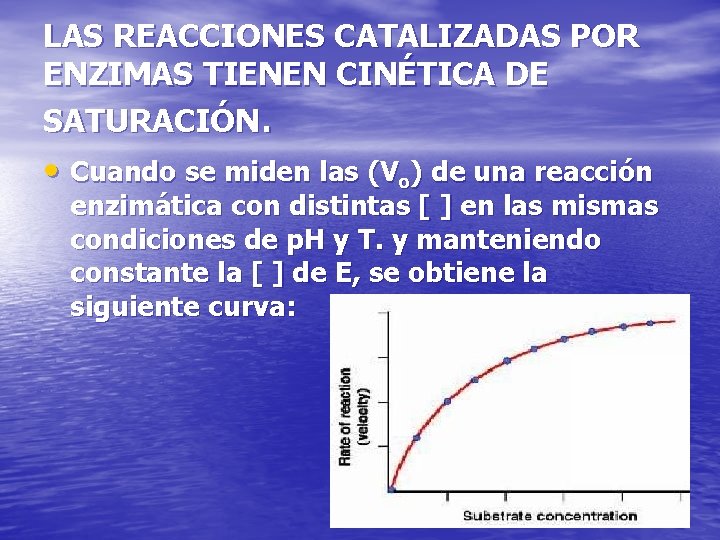 LAS REACCIONES CATALIZADAS POR ENZIMAS TIENEN CINÉTICA DE SATURACIÓN. • Cuando se miden las