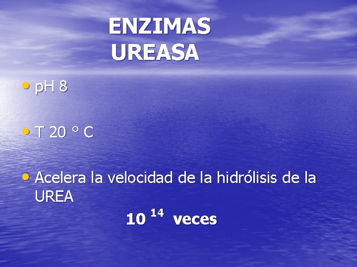 ENZIMAS UREASA • p. H 8 • T 20 ° C • Acelera la