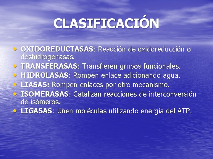 CLASIFICACIÓN • OXIDOREDUCTASAS: Reacción de oxidoreducción o • • • deshidrogenasas. TRANSFERASAS: Transfieren grupos