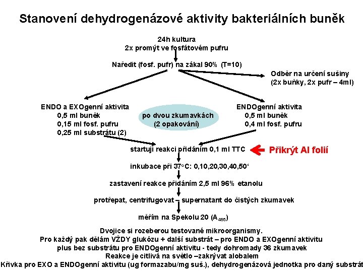 Stanovení dehydrogenázové aktivity bakteriálních buněk 24 h kultura 2 x promýt ve fosfátovém pufru