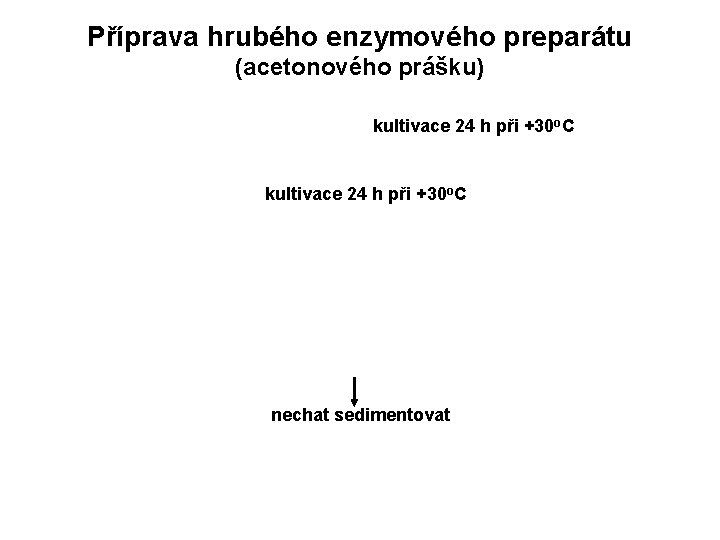 Příprava hrubého enzymového preparátu (acetonového prášku) kultivace 24 h při +30 o. C nechat