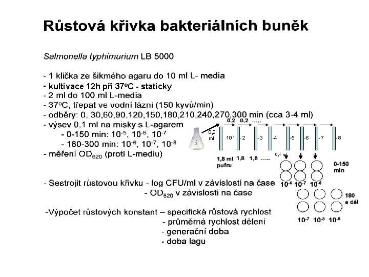 kultivace 12 h při 37 o. C - staticky 0, 2 ml 10 -1