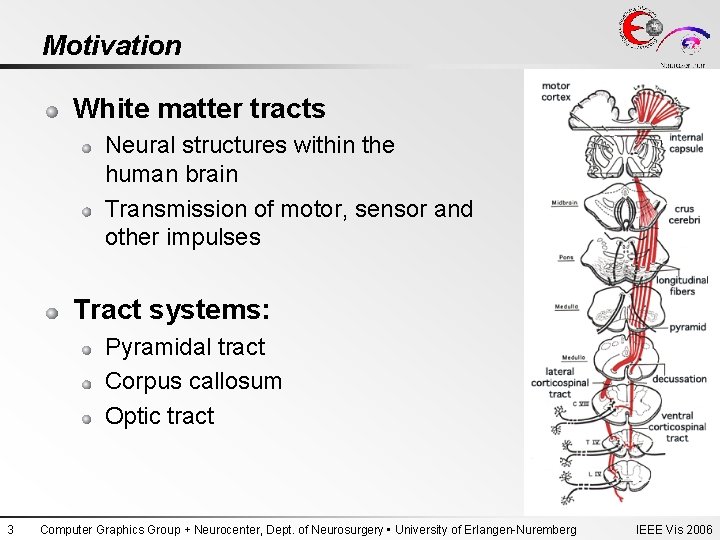 Motivation White matter tracts Neural structures within the human brain Transmission of motor, sensor