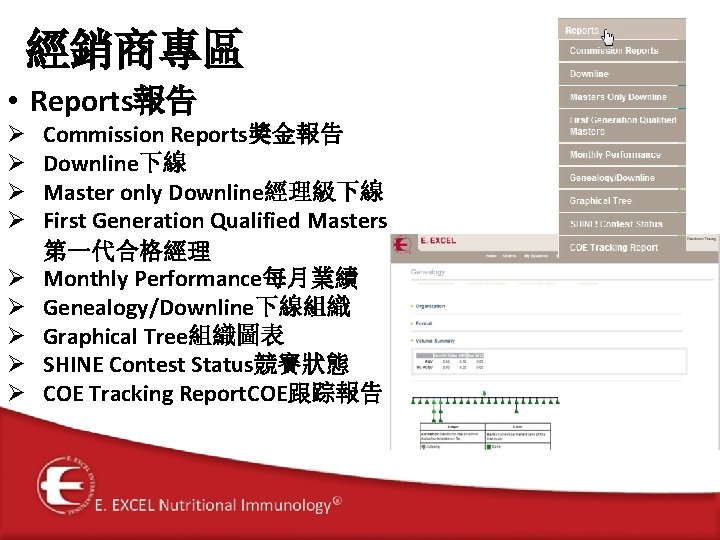 經銷商專區 • Reports報告 Ø Ø Ø Ø Ø Commission Reports獎金報告 Downline下線 Master only Downline經理級下線
