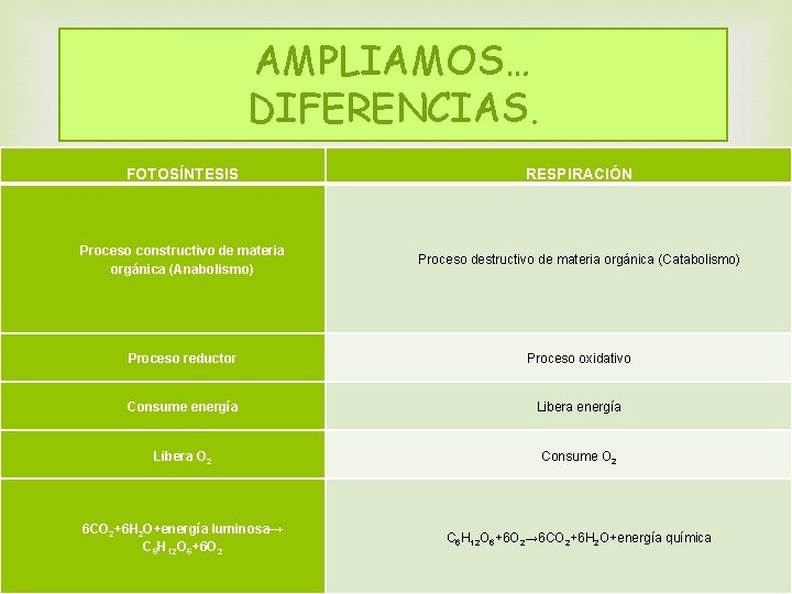 AMPLIAMOS… DIFERENCIAS. FOTOSÍNTESIS RESPIRACIÓN Proceso constructivo de materia orgánica (Anabolismo) Proceso destructivo de materia