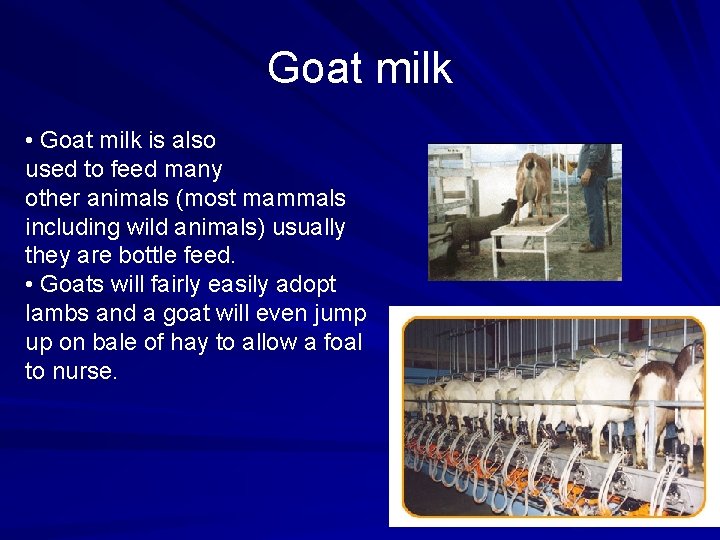 Goat milk • Goat milk is also used to feed many other animals (most