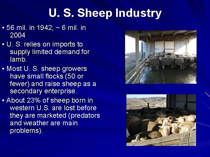 U. S. Sheep Industry • 56 mil. in 1942; ~ 6 mil. in 2004