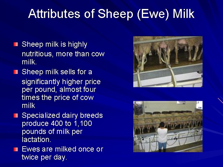 Attributes of Sheep (Ewe) Milk Sheep milk is highly nutritious, more than cow milk.