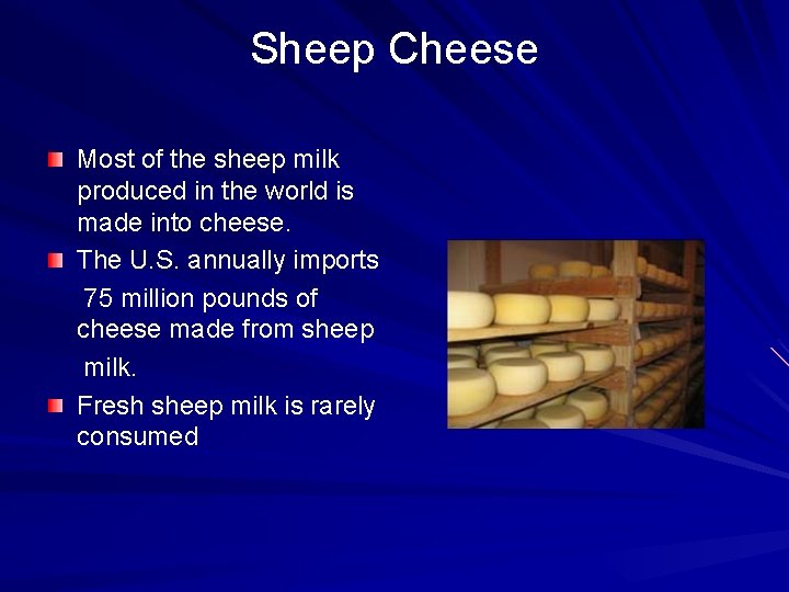 Sheep Cheese Most of the sheep milk produced in the world is made into