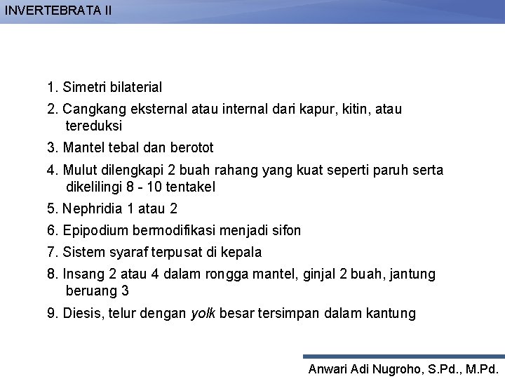 INVERTEBRATA II 1. Simetri bilaterial 2. Cangkang eksternal atau internal dari kapur, kitin, atau