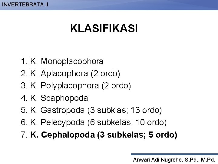 INVERTEBRATA II KLASIFIKASI 1. K. Monoplacophora 2. K. Aplacophora (2 ordo) 3. K. Polyplacophora